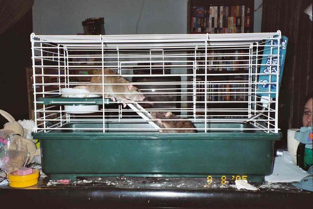 juliaandfayeresize.jpg