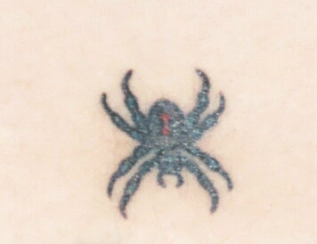 myspidertat.jpg