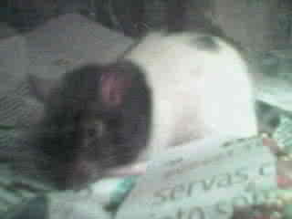 picture13.jpg