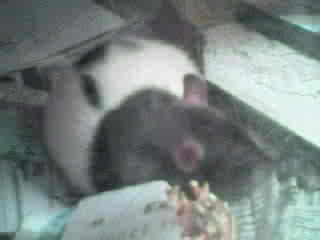 picture16.jpg