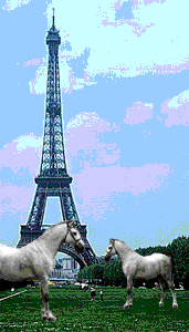 click the ponies to go to Sean's page